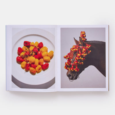 The River Cafe Look Book: Recipes for Kids of all Ages