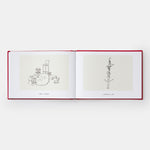 A History of the World (in Dingbats): Drawings & Words
