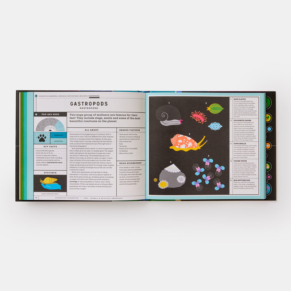 Full of Life: Exploring Earth's Biodiversity