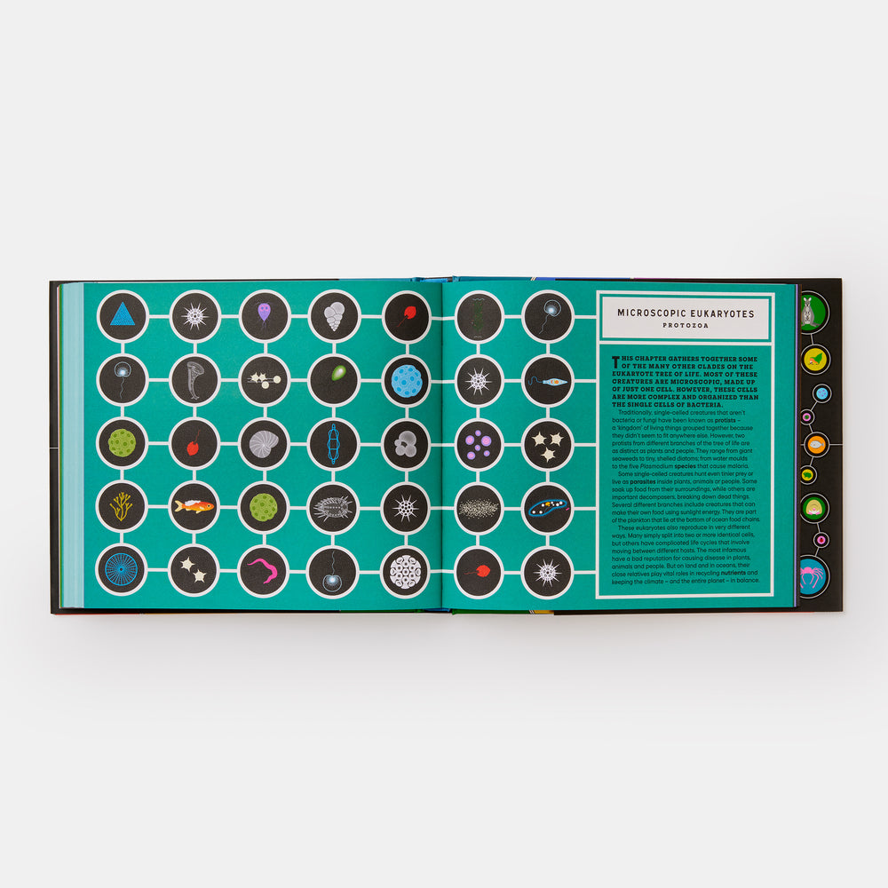 Full of Life: Exploring Earth's Biodiversity