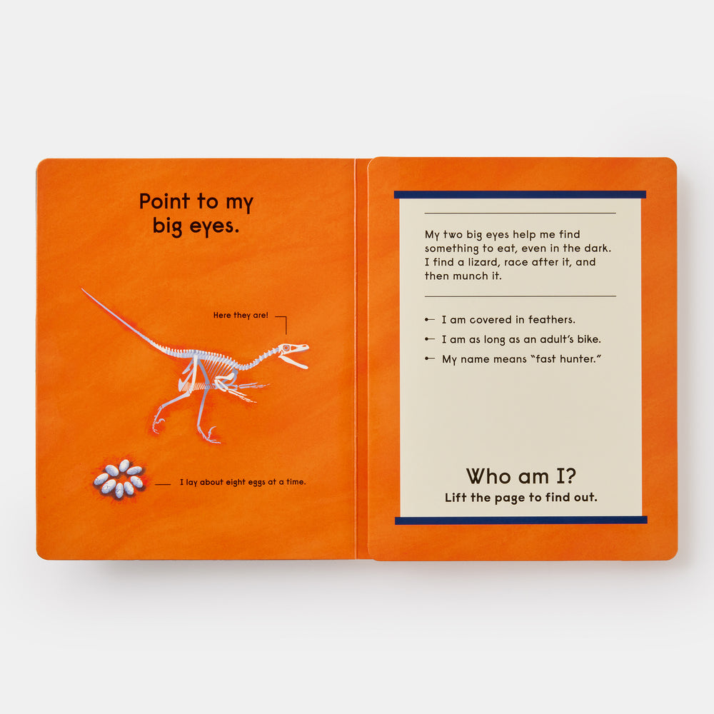 Who's That Dinosaur?: An Animal Guessing Game