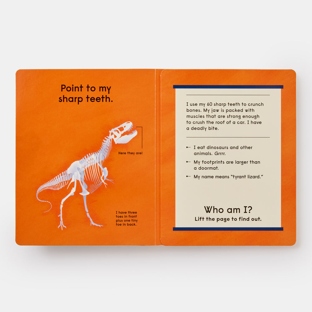 Who's That Dinosaur?: An Animal Guessing Game