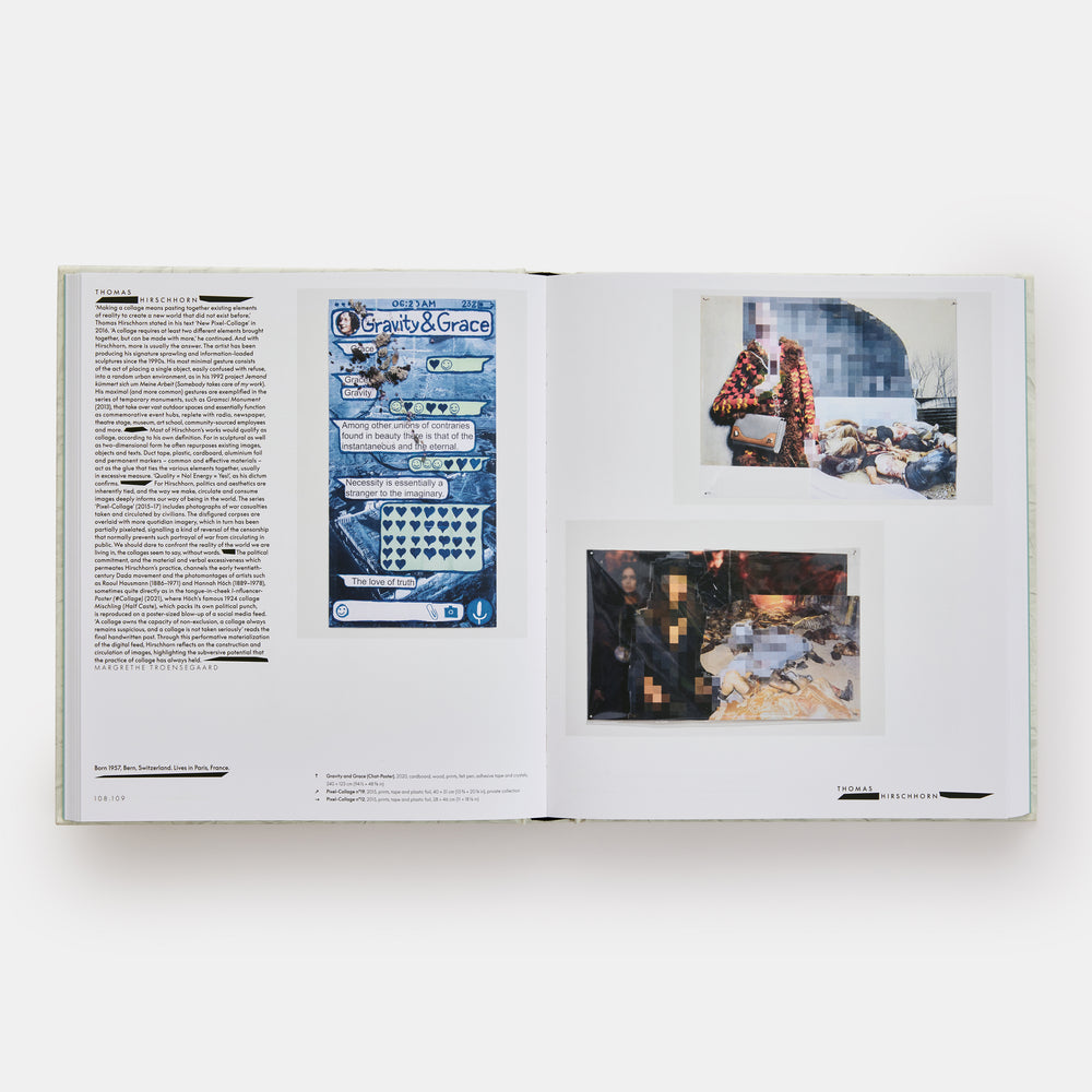 Vitamin C+: Collage in Contemporary Art