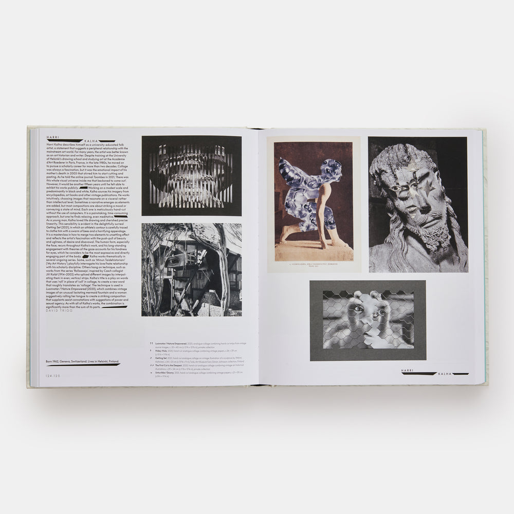 Vitamin C+: Collage in Contemporary Art