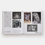 Vitamin C+: Collage in Contemporary Art