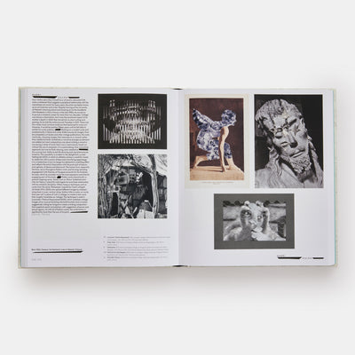 Vitamin C+: Collage in Contemporary Art