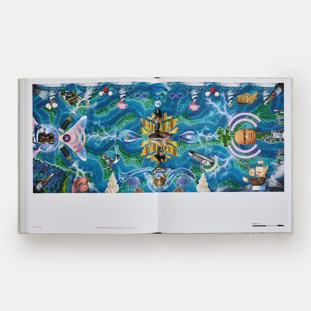 Vitamin C+: Collage in Contemporary Art