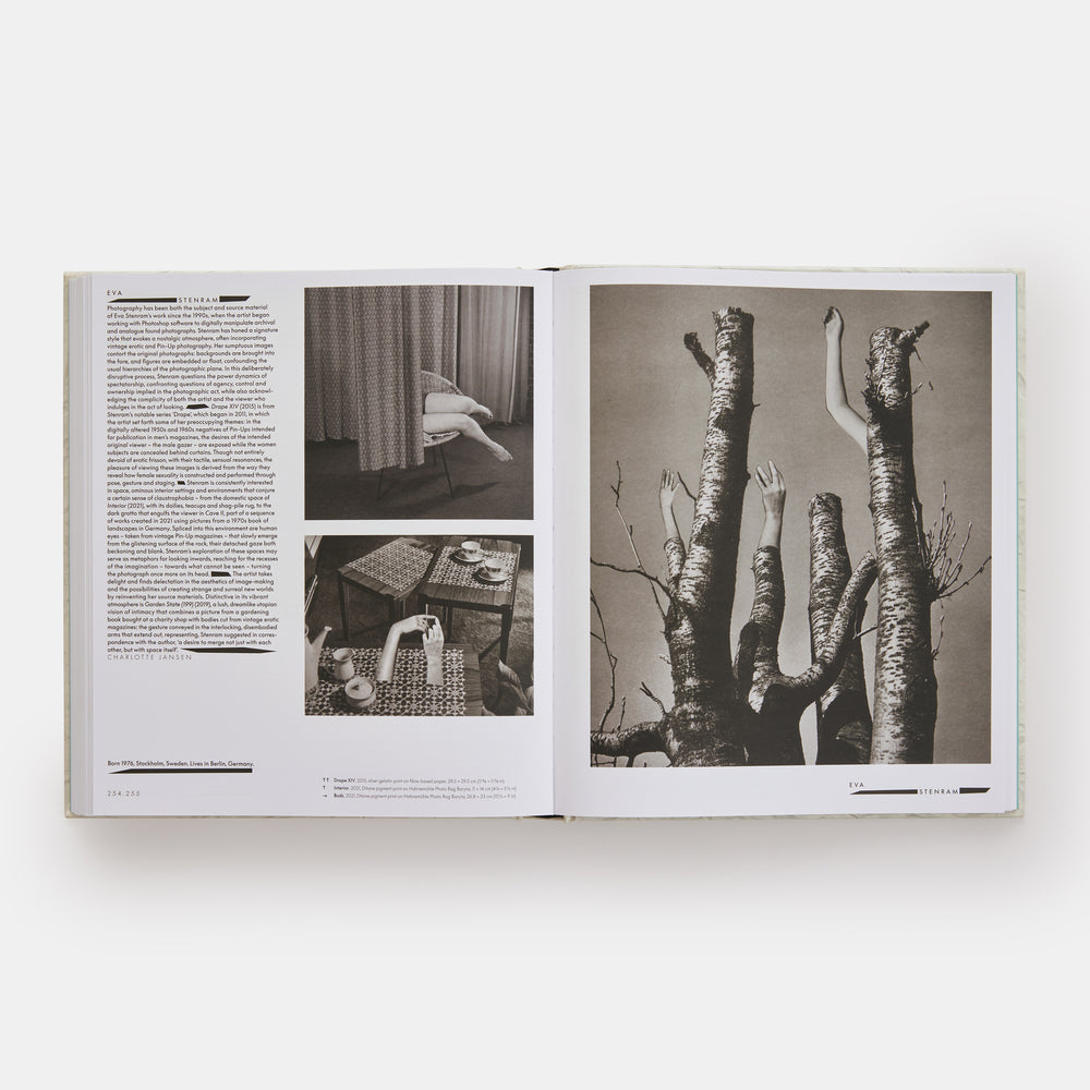 Vitamin C+: Collage in Contemporary Art