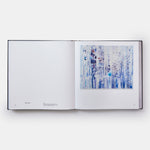 Sarah Sze