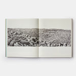 Vitamin D3: Today's Best in Contemporary Drawing