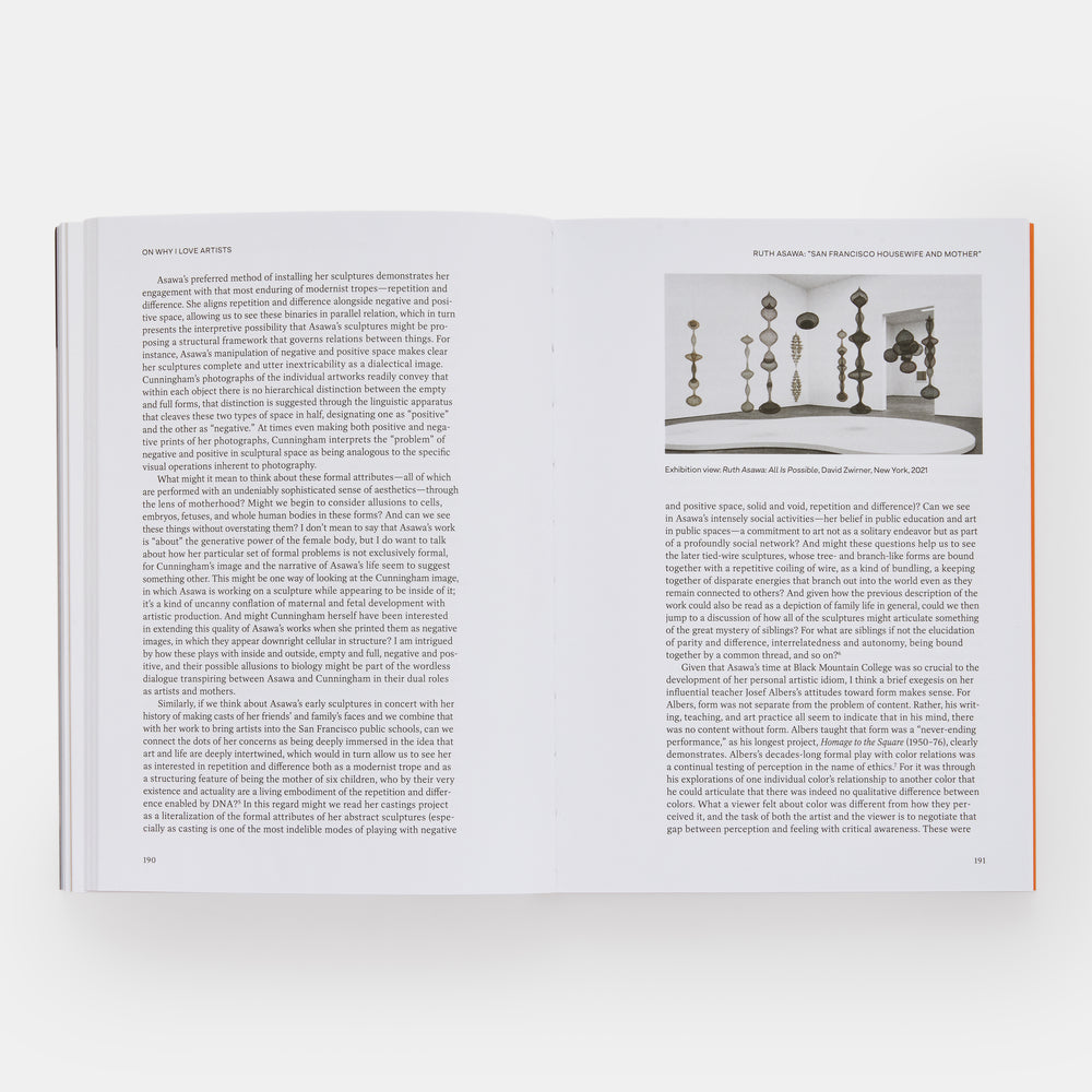 Open Questions: Thirty Years of Writing about Art