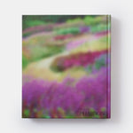 The Garden: Elements and Styles