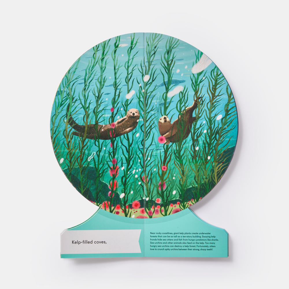 Our Underwater World: A First Dive into Oceans, Lakes, and Rivers