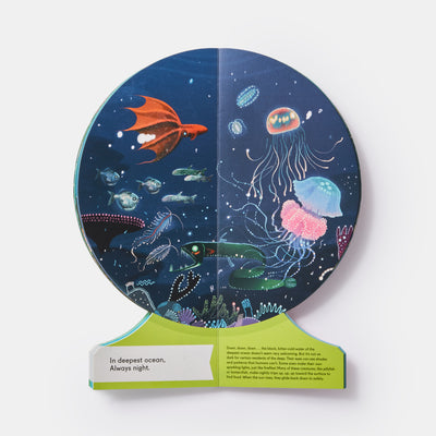 Our Underwater World: A First Dive into Oceans, Lakes, and Rivers