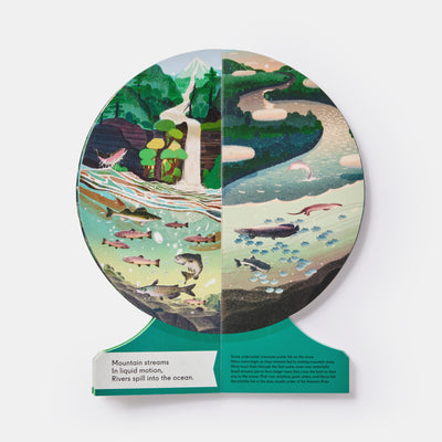 Our Underwater World: A First Dive into Oceans, Lakes, and Rivers