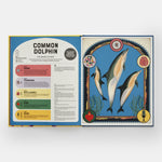 Superpowered Animals: Meet the World's Strongest, Smartest, and Swiftest Creatures