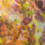 Compost Meridian