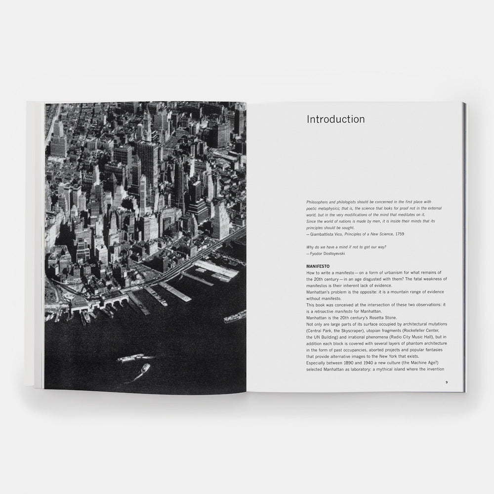 Delirious New York