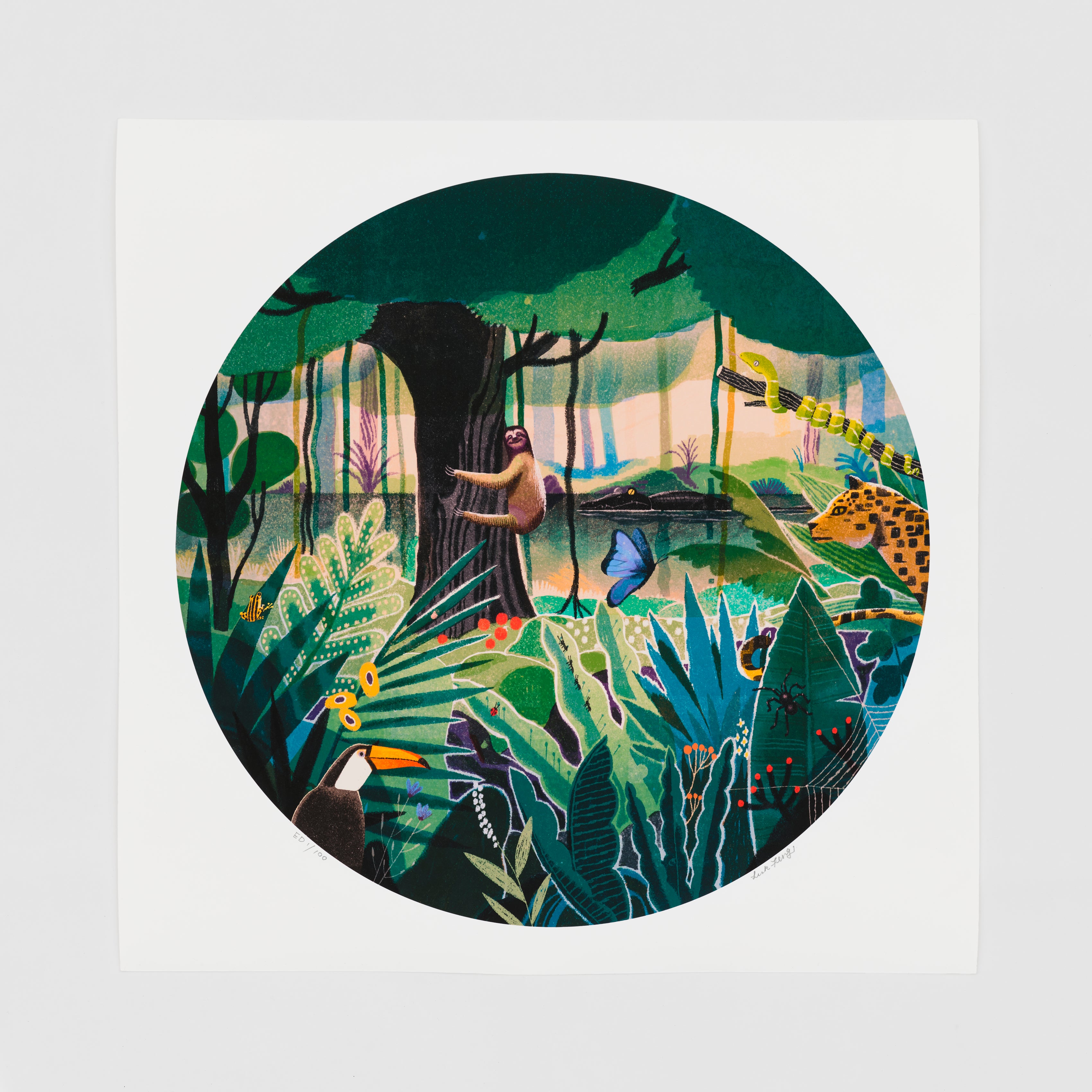 Tropical Reverie – Phaidon