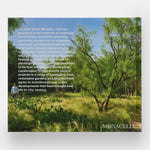 Envisioning Landscapes: The Transformative Environments of OJB