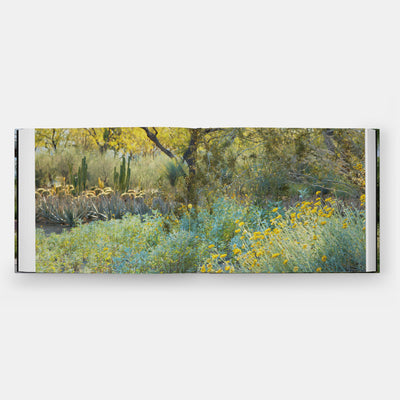 Envisioning Landscapes: The Transformative Environments of OJB