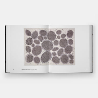 Minjung Kim: Ink, Paper, Fire