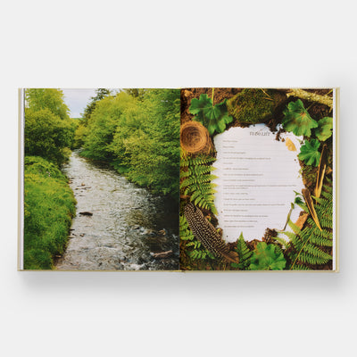 Once Around the Sun: Seasonal Rituals, Food, and Stories from a House Upstate