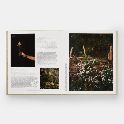 Once Around the Sun: Seasonal Rituals, Food, and Stories from a House Upstate