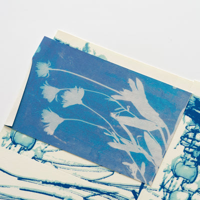 DRFTRS (Daisy Ghost)