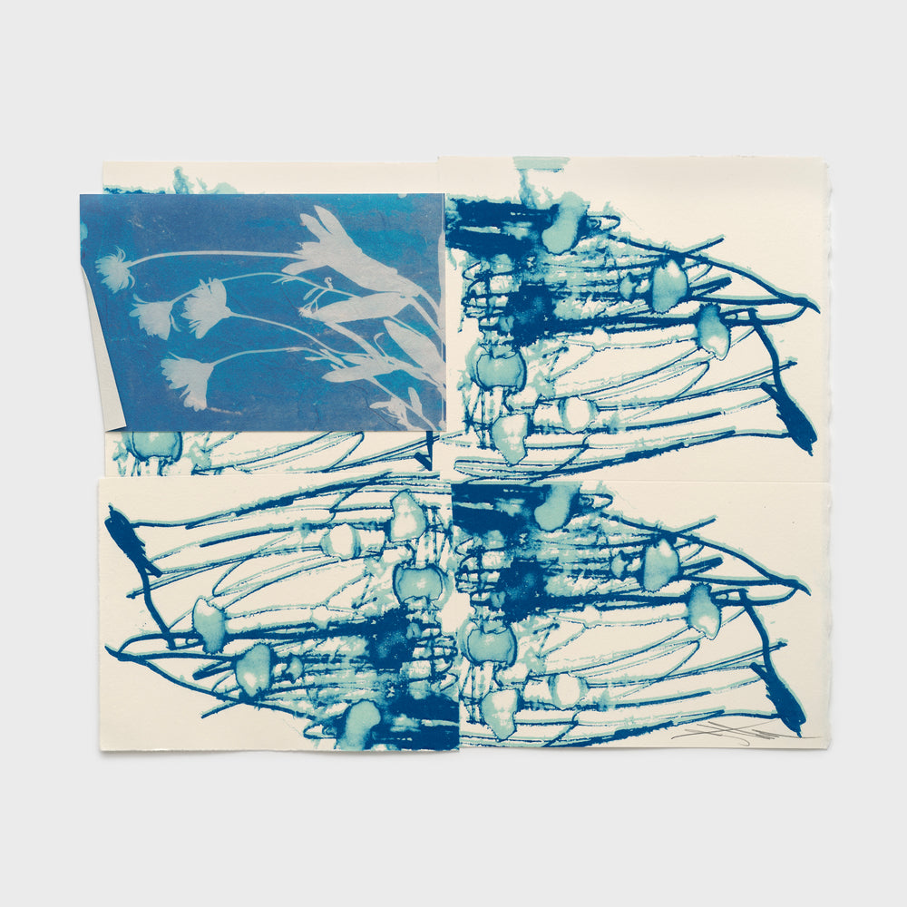 DRFTRS (Daisy Ghost)