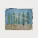 The Cathedrals of Central Park: The big Apple