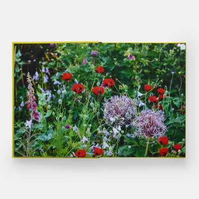 A Year in Bloom: Flowering Bulbs for Every Season