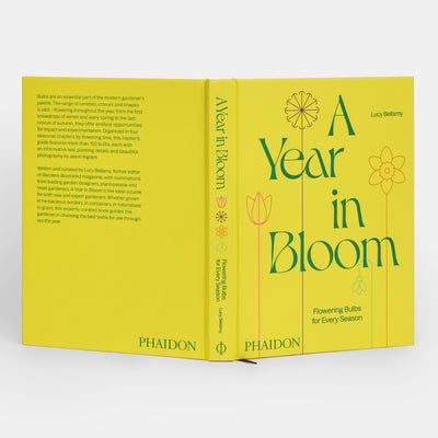 A Year in Bloom: Flowering Bulbs for Every Season