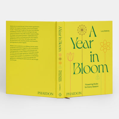 A Year in Bloom: Flowering Bulbs for Every Season