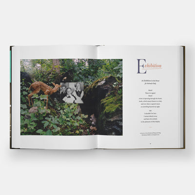 ABCDuane: A Duane Michals Primer