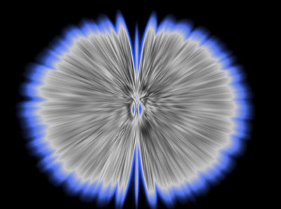 Butterfly Experiments