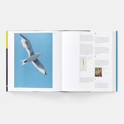Alex Katz