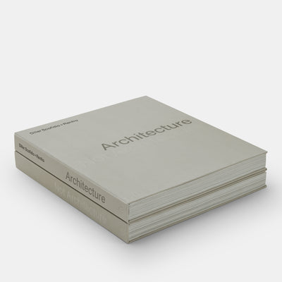 Architecture, Not Architecture: Diller Scofidio + Renfro