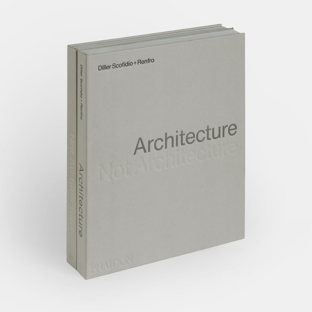 Architecture, Not Architecture: Diller Scofidio + Renfro