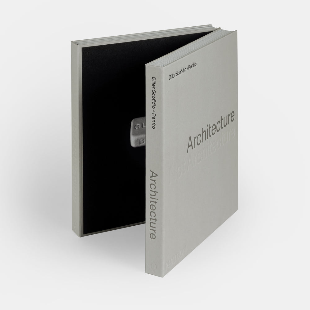 Architecture, Not Architecture: Diller Scofidio + Renfro