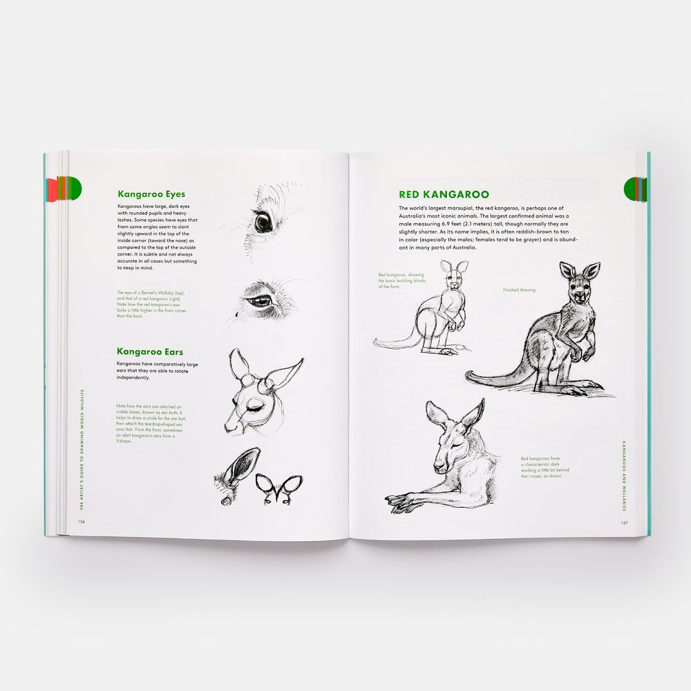 Artist's Guide to Drawing World Wildlife: Essential Step-by-Step Lessons for Beginners