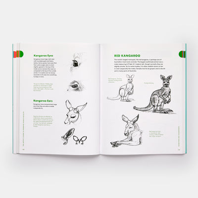 Artist's Guide to Drawing World Wildlife: Essential Step-by-Step Lessons for Beginners