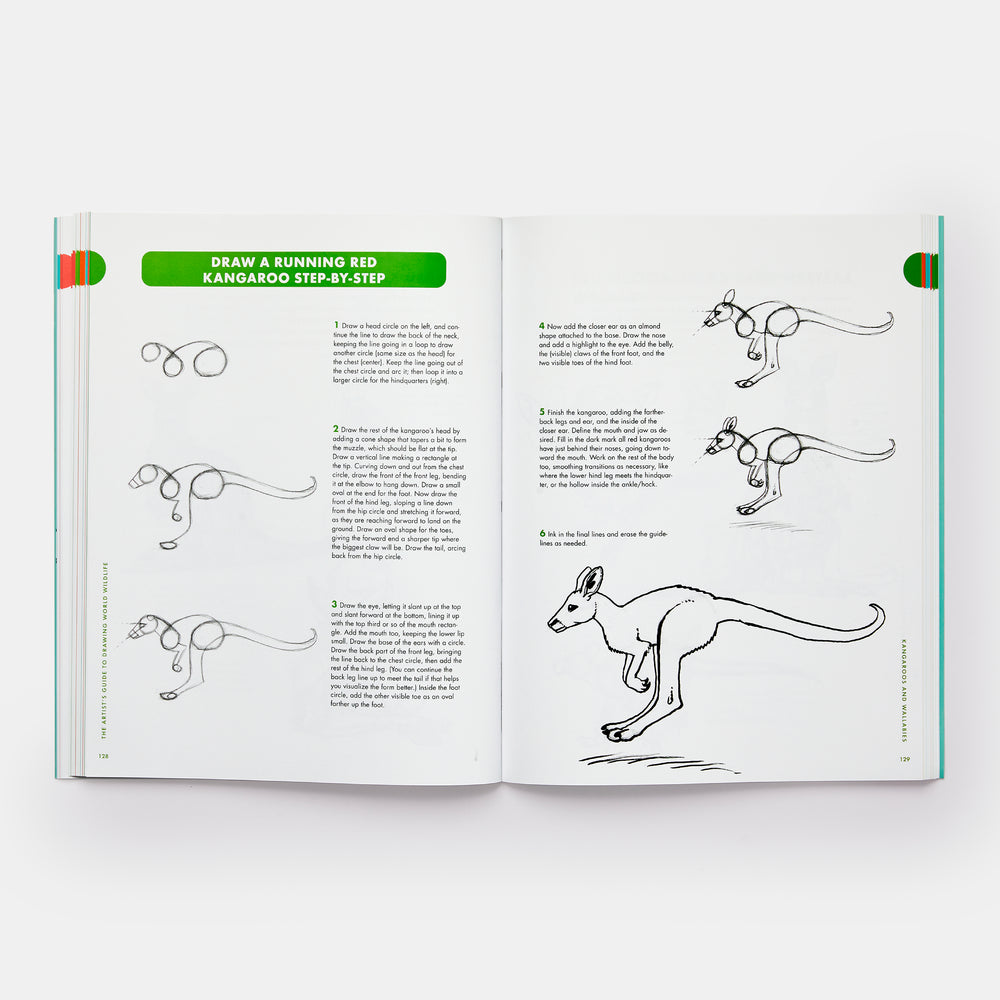 Artist's Guide to Drawing World Wildlife: Essential Step-by-Step Lessons for Beginners