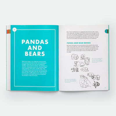 Artist's Guide to Drawing World Wildlife: Essential Step-by-Step Lessons for Beginners