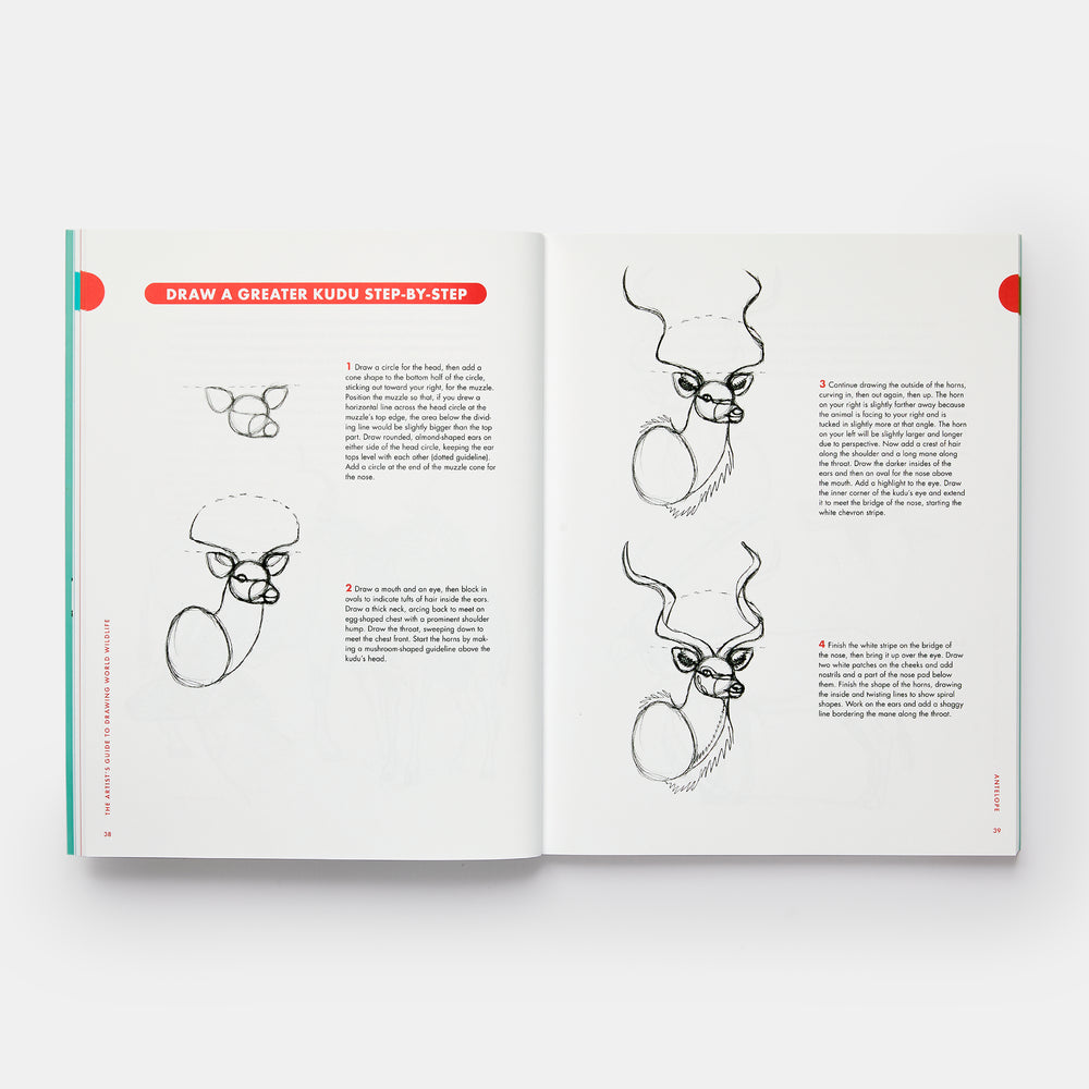 Artist's Guide to Drawing World Wildlife: Essential Step-by-Step Lessons for Beginners