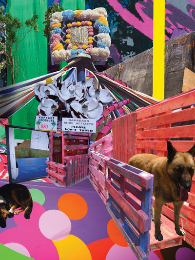 dogs' palettes