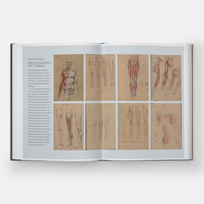 Basic Human Anatomy: An Essential Visual Guide for Artists