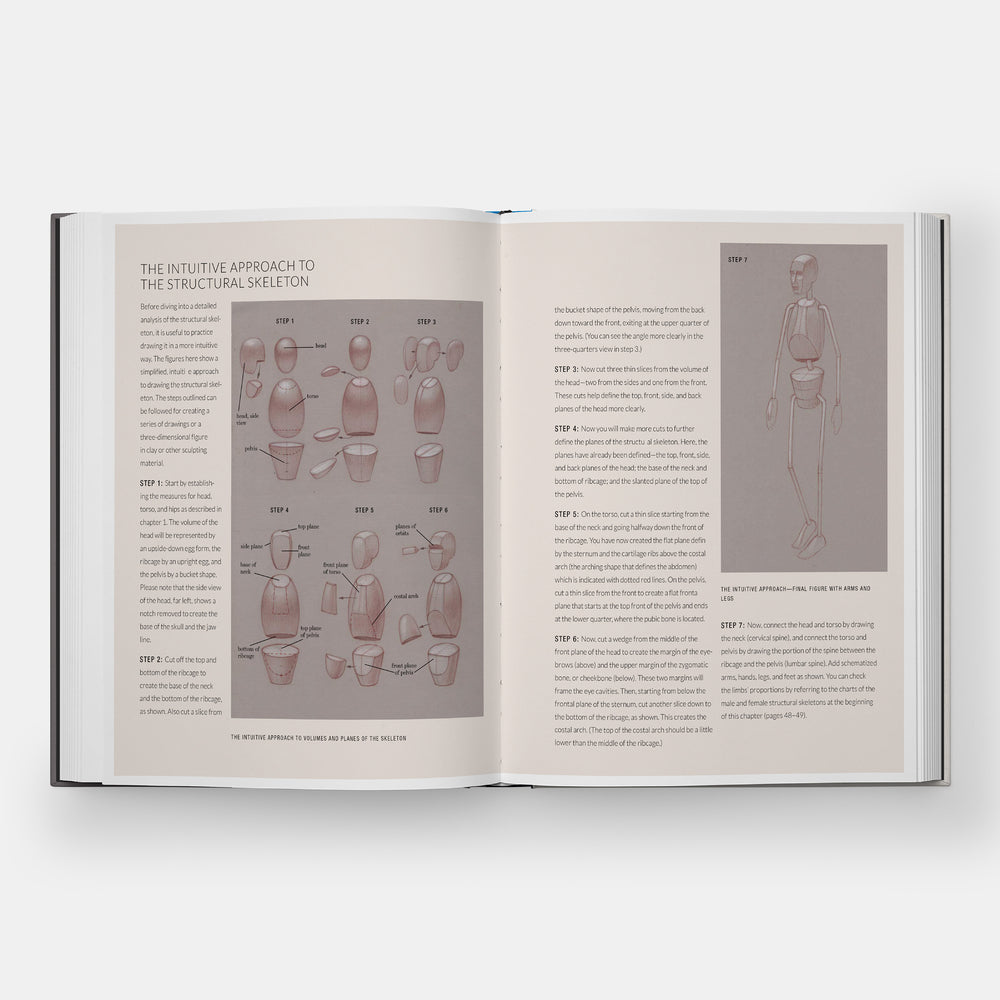 Basic Human Anatomy: An Essential Visual Guide for Artists