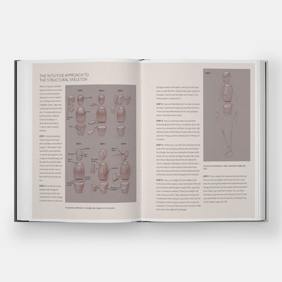 Basic Human Anatomy: An Essential Visual Guide for Artists