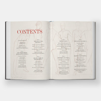 Basic Human Anatomy: An Essential Visual Guide for Artists